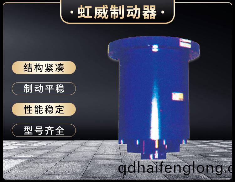 YDGZ(直(zhi)動式)液(ye)壓(ya)頂(ding)軌(gui)製(zhi)動器(qi)